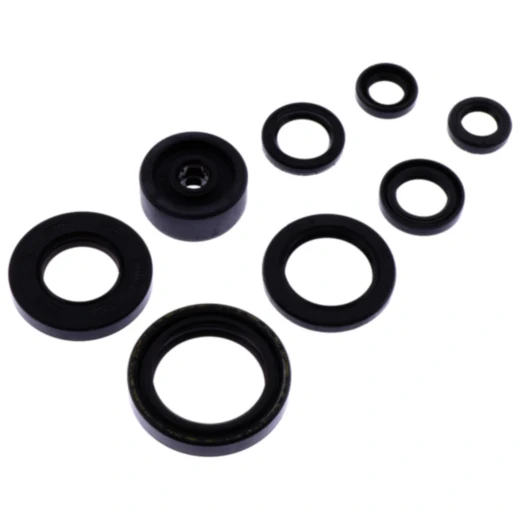 Wellendichtring Satz für hochwertige Motoren