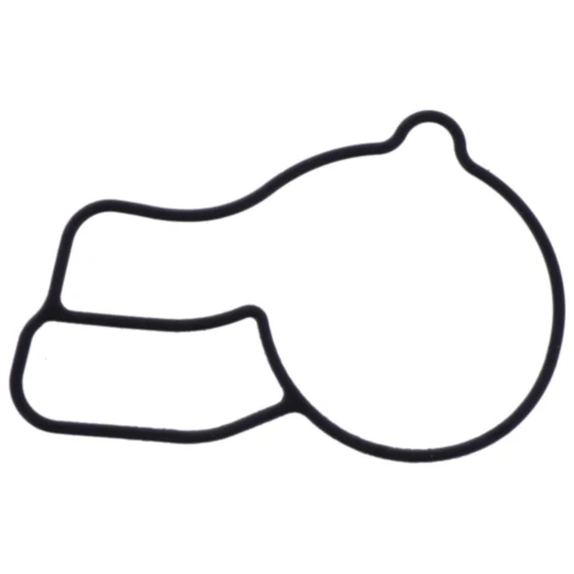 Wasserpumpe Deckel Dichtung für Motorräder