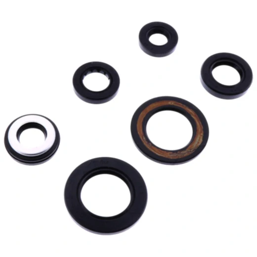 Wellendichtring Kit von Athena