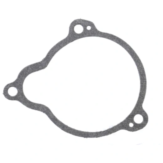 Anlasserdeckeldichtung für On- und Offroad-Motorräder 7349321