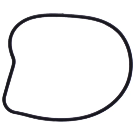 Wasserpumpendeckeldichtung für Motorräder 7347392