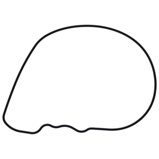 Wasserpumpendeckeldichtung Originalersatzteil 7347398