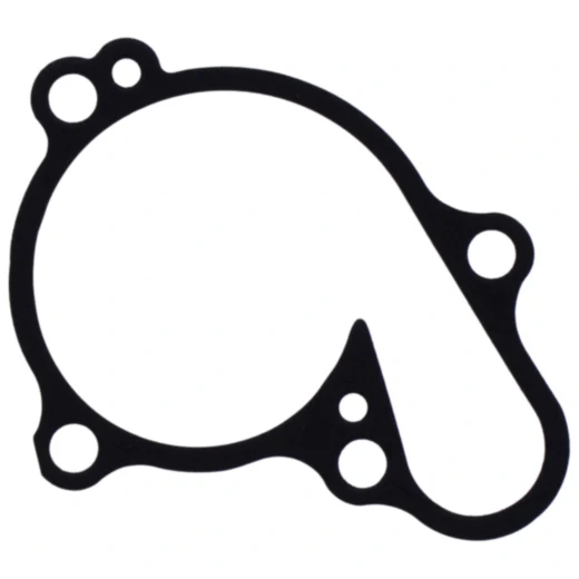 Wasserpumpe Deckeldichtung Original Ersatzteil