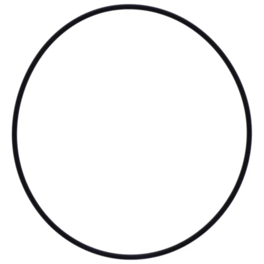O-Ring 2.5X112MM für Wasserpumpendeckel