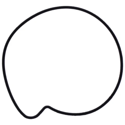 Dichtung Wasserpumpe Deckel Originalersatzteil passend für: BMW C