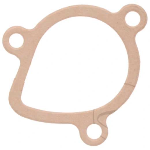 Dichtung Wasserpumpe Deckel Originalersatzteil Alternative: 7349291 passend für: Derbi Senda, GPR, Dekker