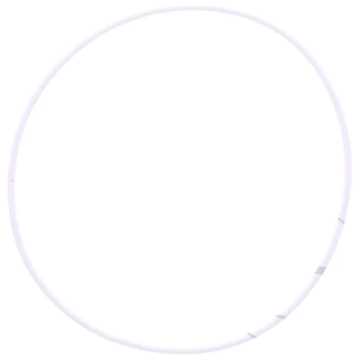 O - Ring 2. 2X93 mm Athena passend für: BMW R