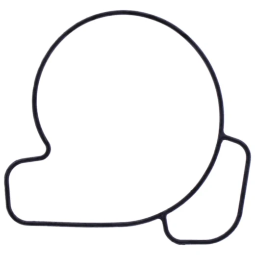 Dichtung Wasserpumpe Deckel Athena passend für: Sherco SE, SM, SC