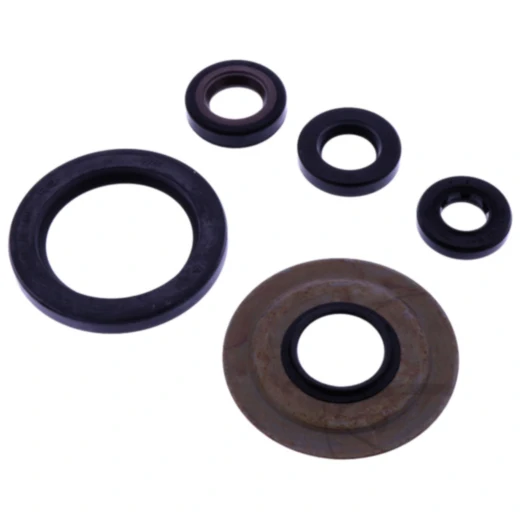 Wellendichtring Satz - Hochwertiges Ersatzteil für Motorräder