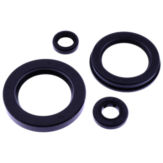 Wellendichtring Satz Tourmax für Motorräder