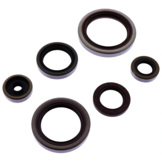 Wellendichtring Satz Athena passend für: Beta RR 7348073