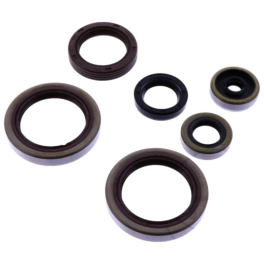 Wellendichtring Satz Athena passend für: Beta RR 7348100