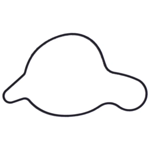 Dichtung Wasserpumpe Deckel Originalersatzteil passend für: Beta RR 7348355