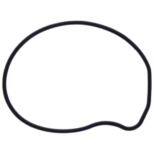 Wasserpumpendeckeldichtung Originalersatzteil 7348385