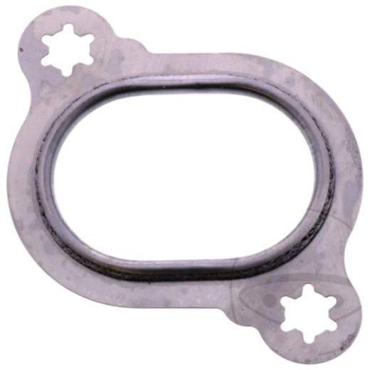 Krümmerdichtung für Motorräder 50X69X4MM