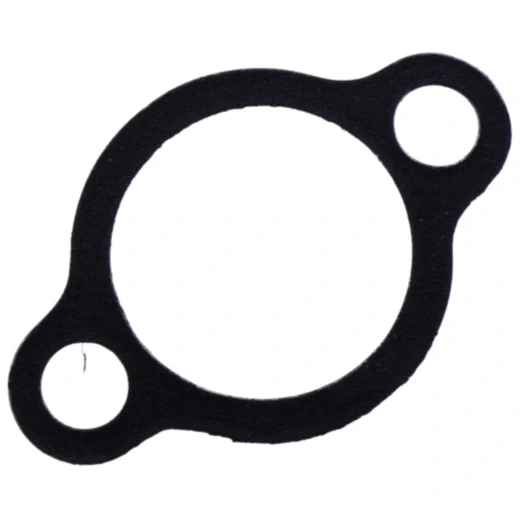 Steuerkettenspanner Dichtung für On- und Offroad-Motorräder 7349177