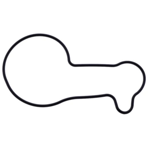 Dichtung Wasserpumpe Deckel Athena passend für: Beta RR 7349206