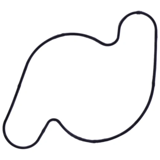 Wasserpumpe Dichtung für Motorräder