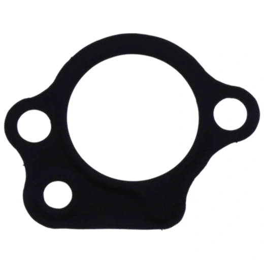 Steuerkettenspanner Dichtung für: On- und Offroad-Motorräder 7349242