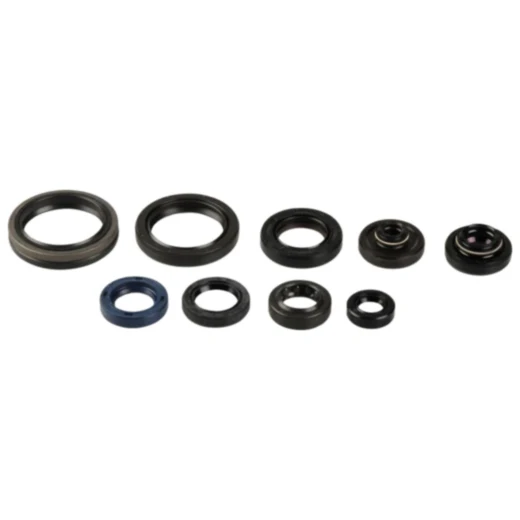 Wellendichtring Satz für Motorradmotor 7354863