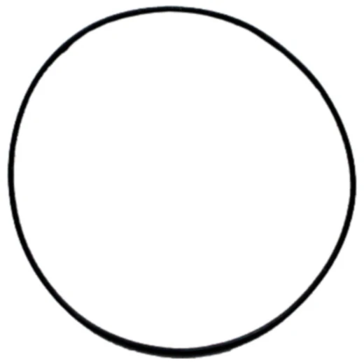 O - Ring 2X100MM Athena passend für: Kawasaki KVF, KFX