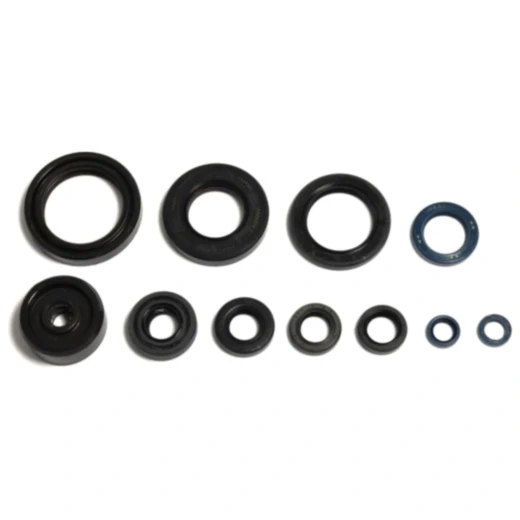 Wellendichtring Satz für Motoren 7356322