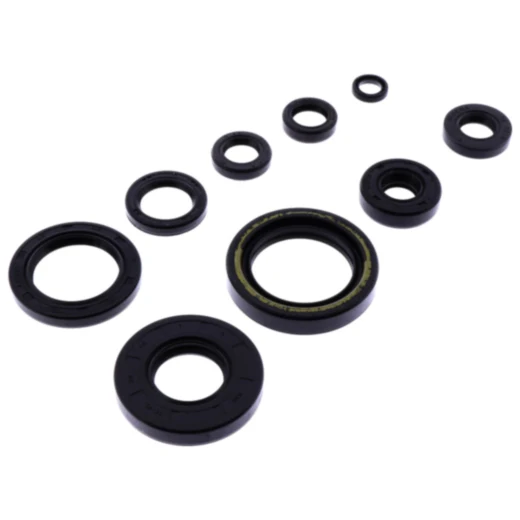 Wellendichtring Satz für Motoren 7356355