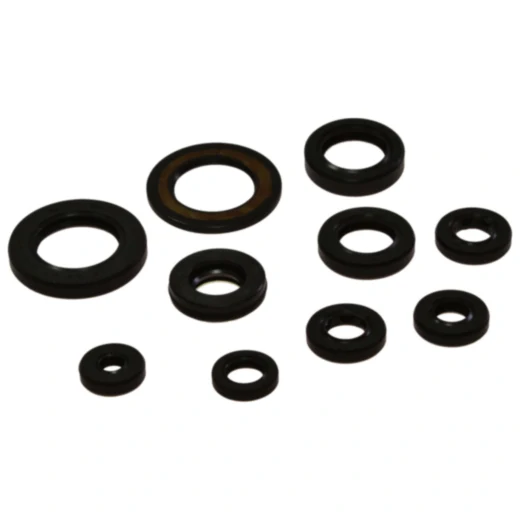 Wellendichtring Satz für Tourmax
