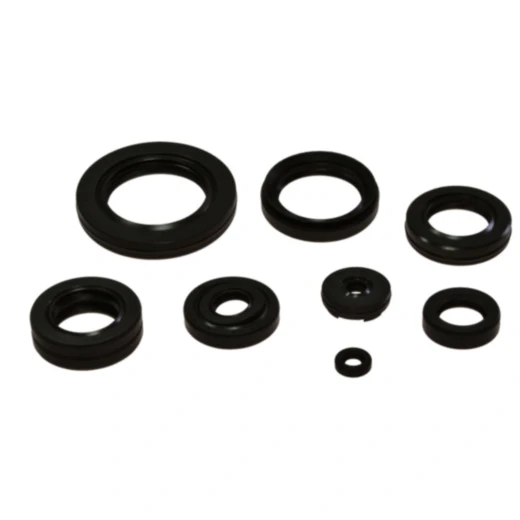 Wellendichtring Satz für Motorradmotor
