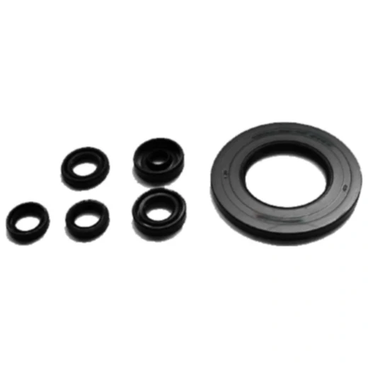 Wellendichtring Satz für Motorradmotor 7359375