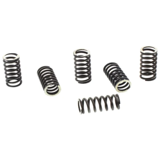 Kupplungsfeder-Kit verstärkt TRW für Motorräder