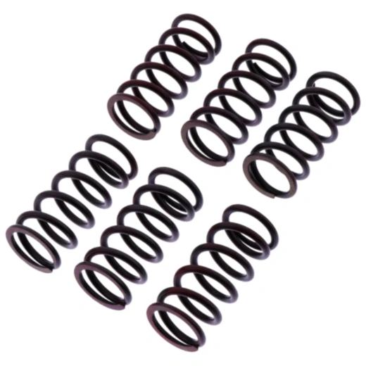 Kupplungsfedern verstärkt TRW Inhalt 6 Stück passend für: Kawasaki ZX - 10R