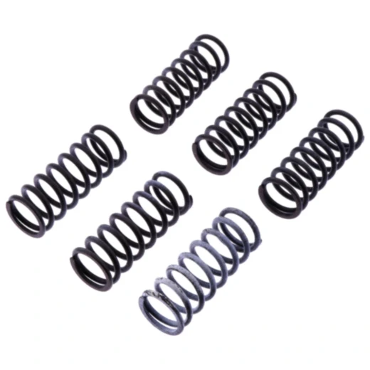 Kupplungsfedern verstärkt TRW 6 Stück 7380526