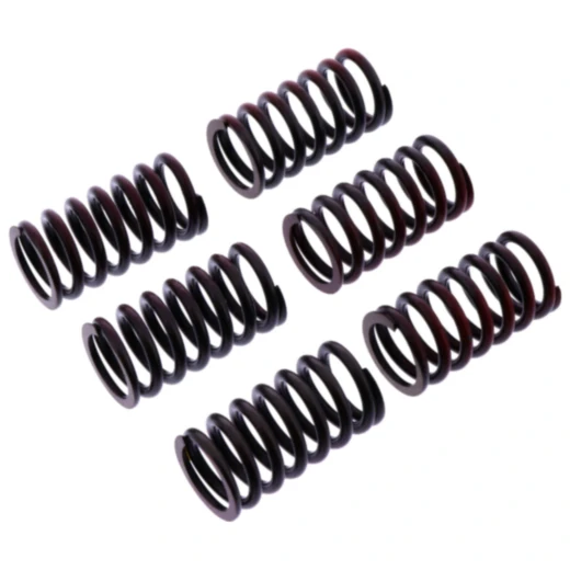 Kupplungsfedern verstärkt TRW Inhalt 6 Stück passend für: Ducati 749, Monster, 999