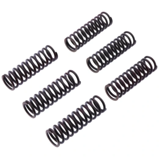 Kupplungsfeder Satz verstärkt TRW für Motorräder