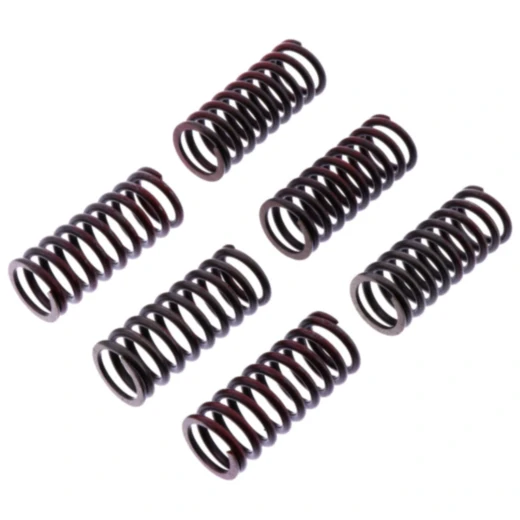 Kupplungsfedern verstärkt TRW Inhalt 6 Stück passend für: Ducati Scrambler, Monster, Hypermotard