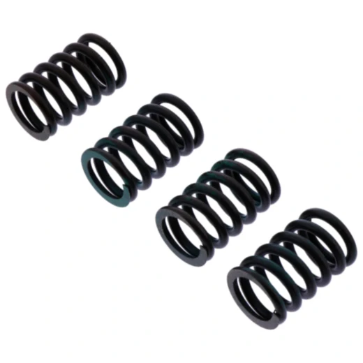 Kupplungsfedern verstärkt TRW für Motorräder 7380618