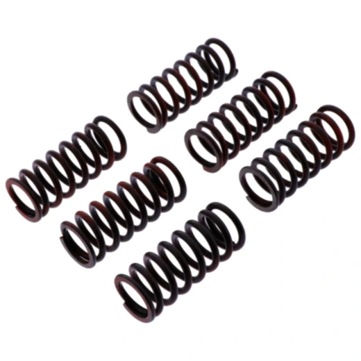 Kupplungsfeder-Kit verstärkt TRW für Motorräder 7380655