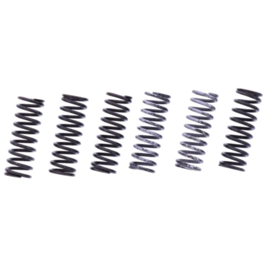 Kupplungsfedern verstärkt TRW Inhalt 6 Stück passend für: MV Agusta F4, Brutale