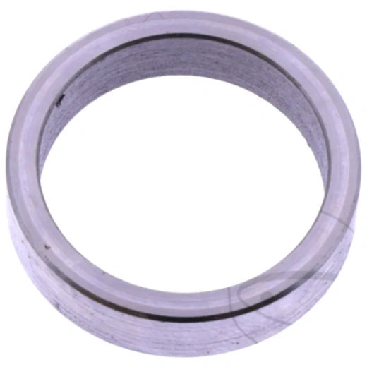 Varioring 20X25X6MM passend für: Baotian BT49QT - 7A1, BT49QT - 10, BT49QT - 12A1