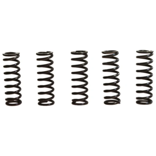 Kupplungsfedern verstärkt TRW Inhalt 5 Stück passend für: Honda CBF, CB, CBR