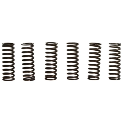 Kupplungsfedern verstärkt TRW für Motorräder