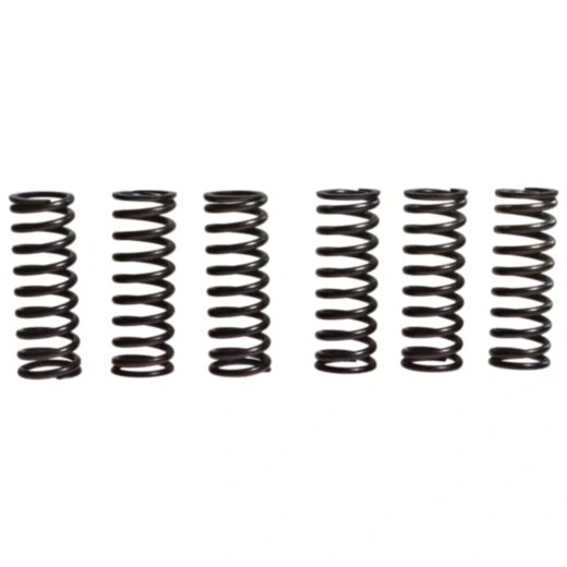 Kupplungsfedern verstärkt TRW 6 Stück