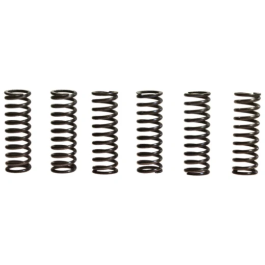 Kupplungsfedern verstärkt TRW für Motorräder 7387210