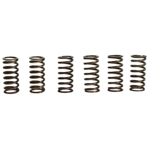 Kupplungsfedern verstärkt TRW Inhalt 6 Stück passend für: BMW F 650, Aprilia Pegaso, RSV, ETV