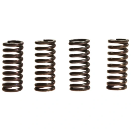 Kupplungsfedern verstärkt für Motorräder TRW