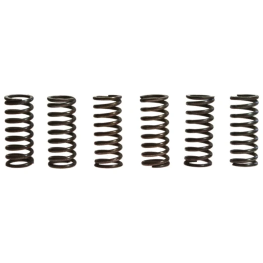 Kupplungsfedern verstärkt TRW Inhalt 6 Stück passend für: Kawasaki ZZR, GPZ