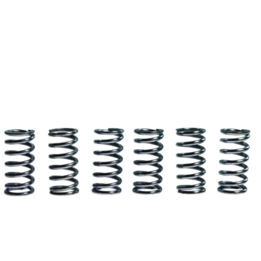 Kupplungsfedern verstärkt TRW Inhalt 6 Stück Alternative: 7459043 passend für: Honda XRV, NSR, CBR