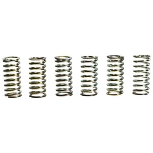 Kupplungsfedern verstärkt TRW Inhalt 6 Stück passend für: Honda CR, CM, XL, CJ
