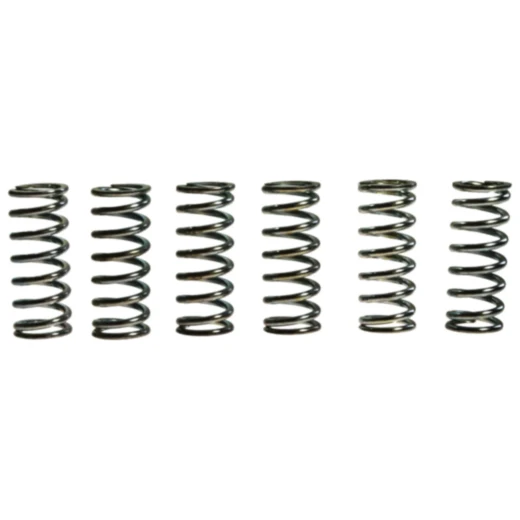 Kupplungsfedern verstärkt TRW Inhalt 6 Stück Alternative: 7459233 passend für: Honda VT, VF, XL, CR